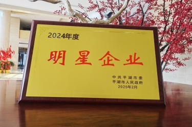 新春新景新气象 | xj星际1277纸业在平湖三干大会上喜摘荣誉！