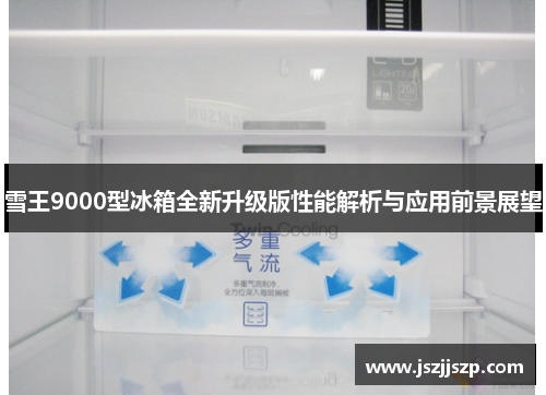雪王9000型冰箱全新升级版性能解析与应用前景展望