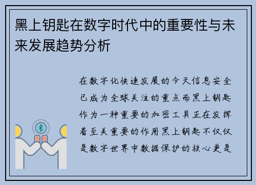 黑上钥匙在数字时代中的重要性与未来发展趋势分析